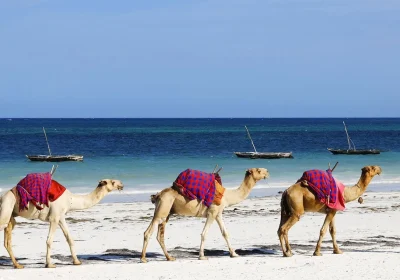 Costa de Kenia-OK