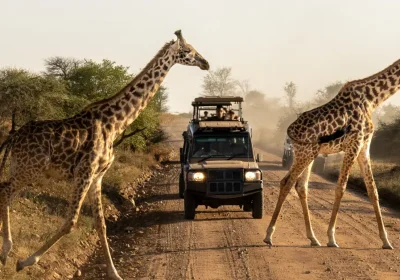 4x4 de safari en africa con una jirafas y una familia